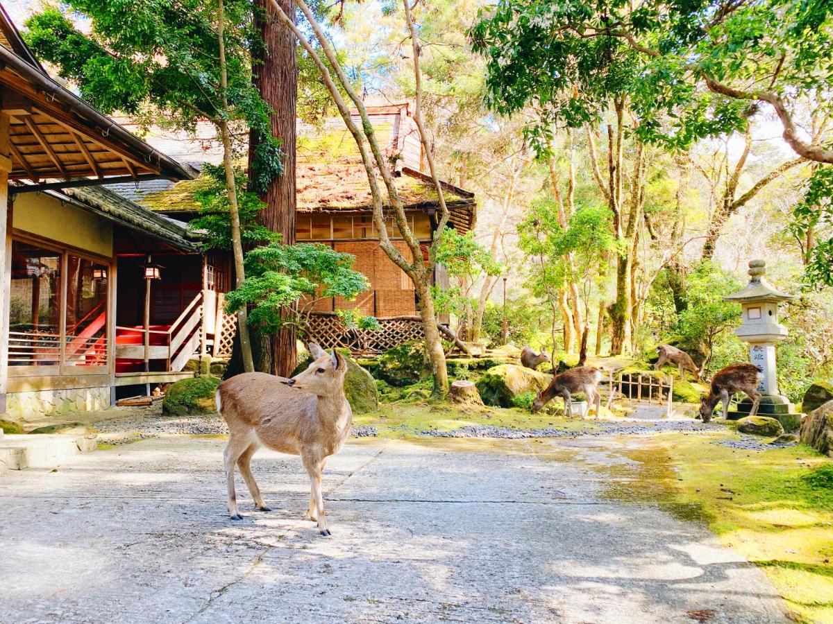 Tsukihitei Hotel Nara Exterior foto